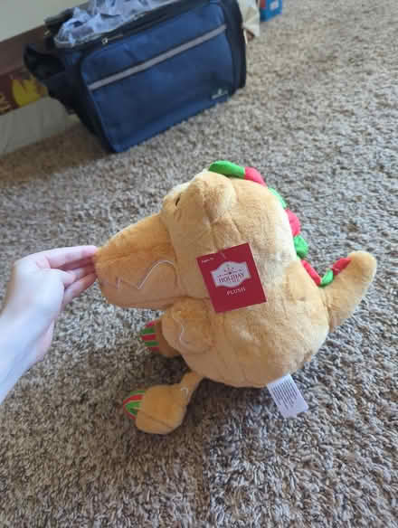 Photo of free Christmas Alligator (Arabian Library) #2