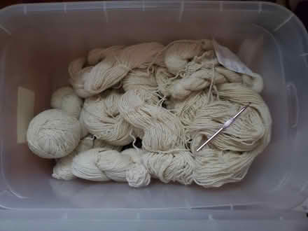 Photo of free Wool yarn (Lowell highlands) #2