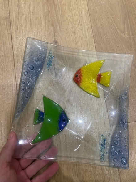 Photo of free Glass fish (PR6 Heapey Bank) #1