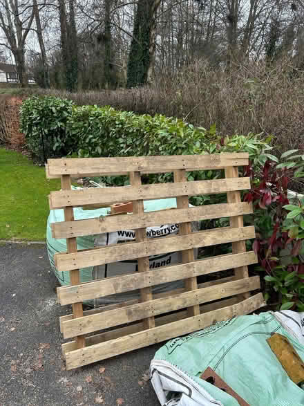 Photo of free Clean pallet (Clayton Green PR6) #1