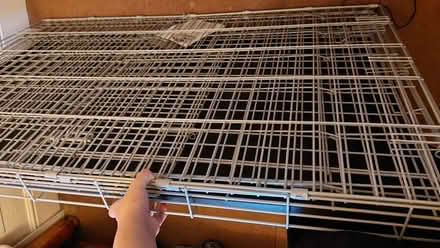 Photo of free X Large Dog Crate (White City W12) #3
