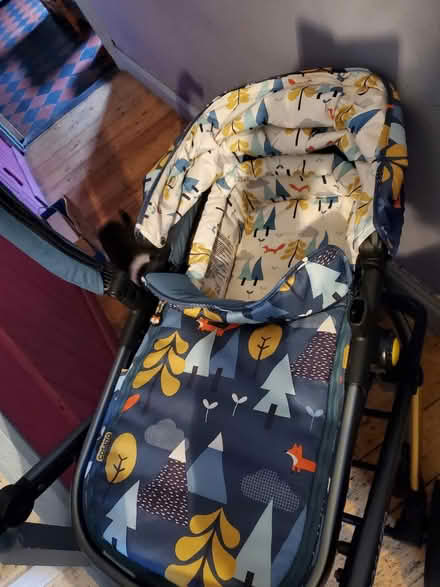 Photo of free Pram set (Splott CF24) #3