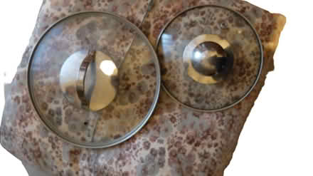 Photo of free 2 x see through Pan lids (Harrogate HG1) #1
