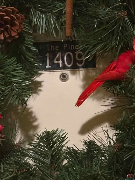 Photo of free Purina kitten chow. 14 lb bag (23385 S Barwood Ln #1409) #2