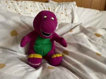 Photo of free Barnie (West Hill TN34) #1