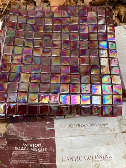 Photo of free Mosaic Tiles (Poole) #1