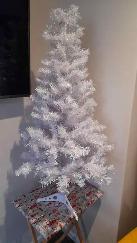 Photo of free Christmas tree (Marshalswick St.Albans) #2