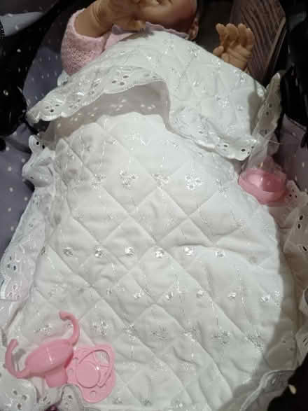 Photo of free Dolly buggy (Old Town SG1) #2