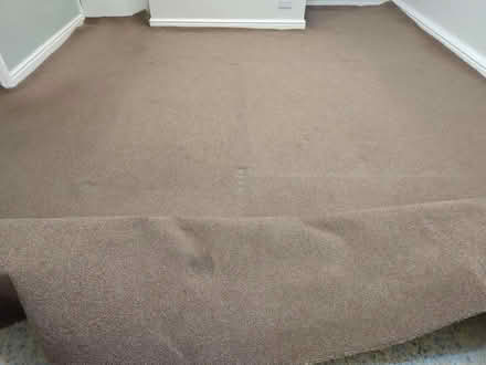 Photo of free Large thin carpet (Walton, Stone ST15) #3