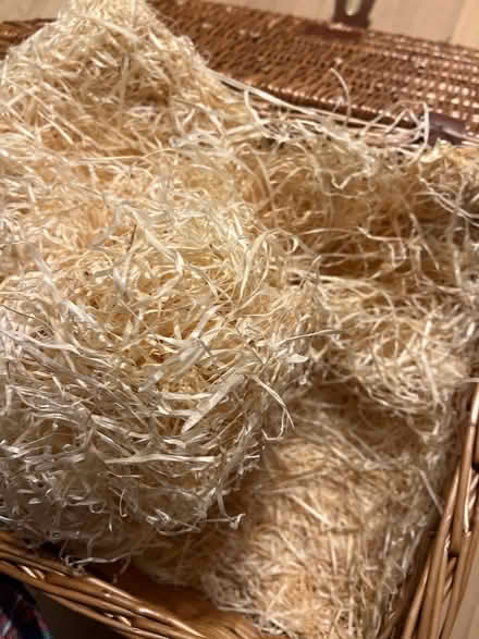 Photo of free Stuffing (SE15) #2