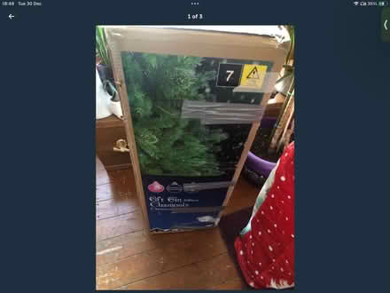 Photo of free Xmas tree (Gracemount EH17) #2