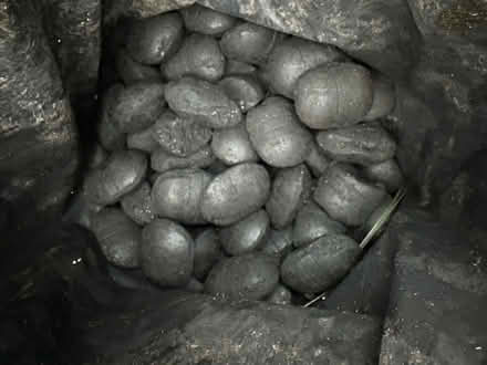 Photo of free Smokeless coal (M20 didsbury) #1