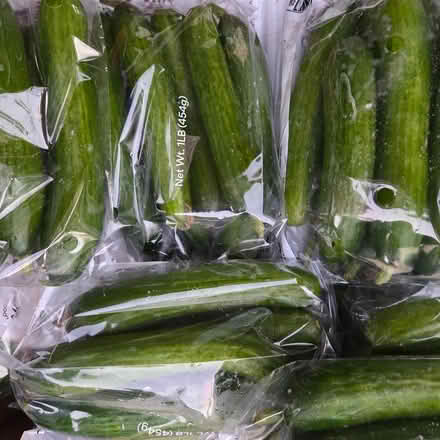 Photo of free Organic Cucumbers (Chiquita Av MtnVw) #1