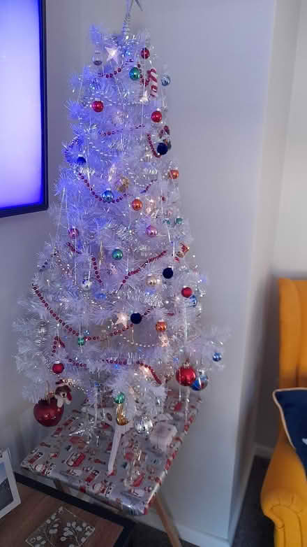 Photo of free Christmas tree (Marshalswick St.Albans) #3