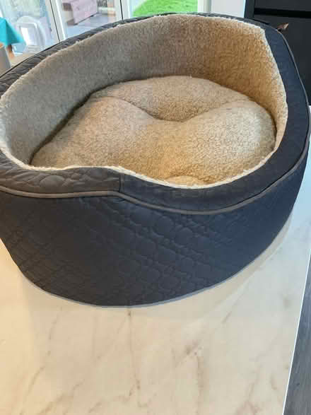 Photo of free Large dog bed. Almost new (Sprowston (NR7)) #1