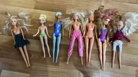 Photo of free Dolls / toys (CV34 Warwick gates) #1