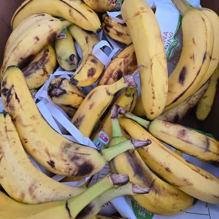 Photo of free Ripe Bananas (Chiquita Av MtnVw) #1