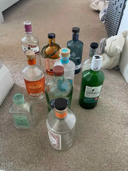 Photo of free Empty Gin bottles (RH12) #1