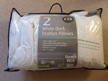 Photo of free 2 white duck feather pillows (Beaconsfield HP9) #1
