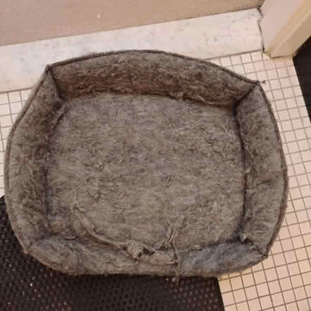 Photo of free Cat Bed (West Harlem) #1