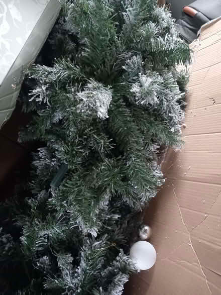 Photo of free 6ft snowy Christmas's tree (Belle Isle LS10) #1