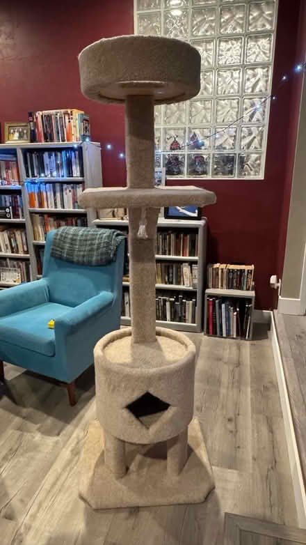 Photo of free Cat play post #3 (Near monument Blvd, Concord) #3