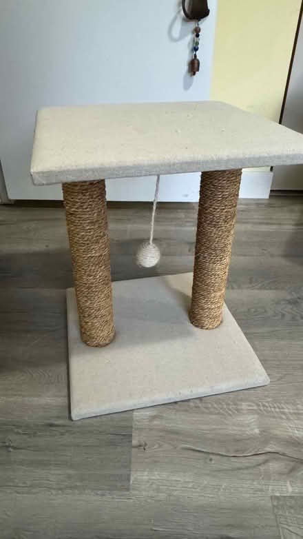 Photo of free Cat play post #2 (Near monument Blvd, Concord) #2