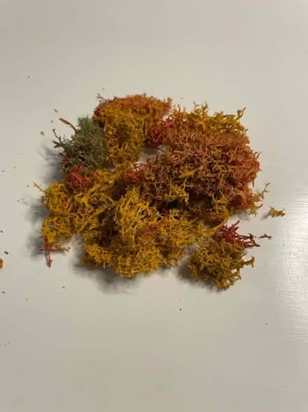 Photo of free Modelling supplies (Bramhall SK7) #4