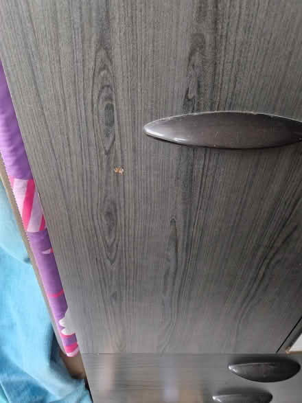 Photo of free Single wardrobe with 2 drawers (Merley BH21 1XL) #2