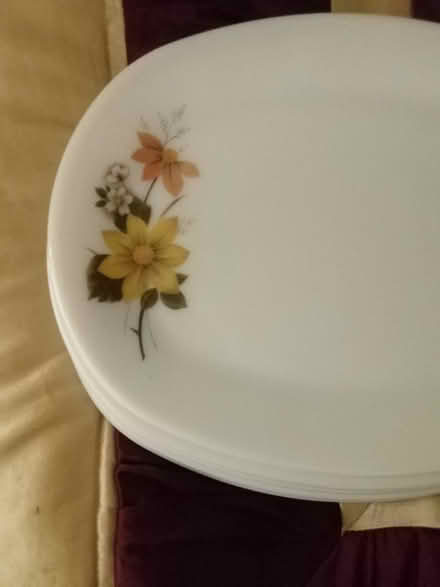 Photo of free 6 oval dinner plates (Tonbridge TN9) #3