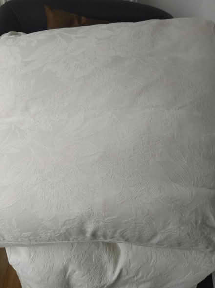 Photo of free Cream cushions for sofa or other purposes (Millhouses S7) #1