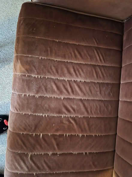 Photo of free Brown velvet style sofabed (Widford CM1) #2