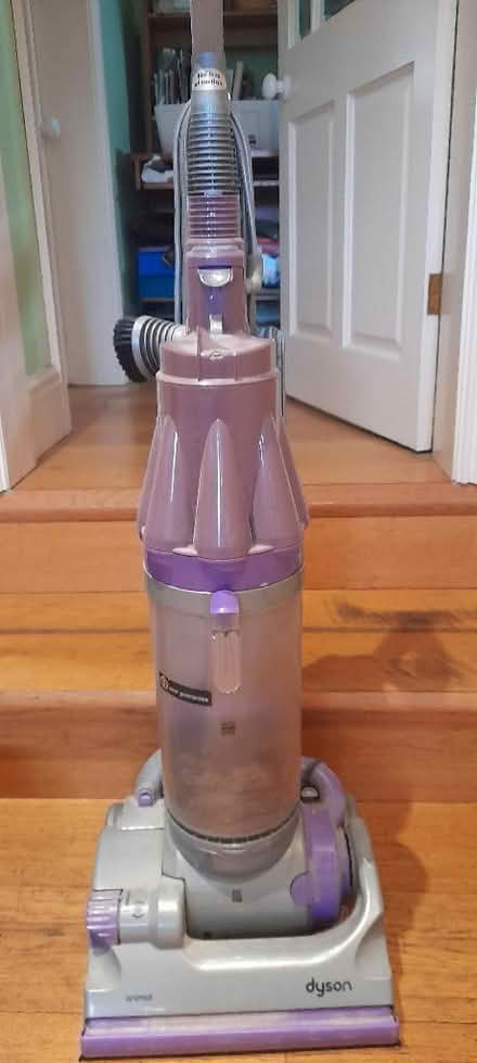 Photo of free Dyson animal hoover (Burbage SK17) #1