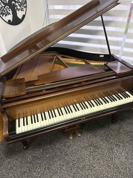 Photo of free Challen Baby Grand Piano (Faringdon SN7) #1