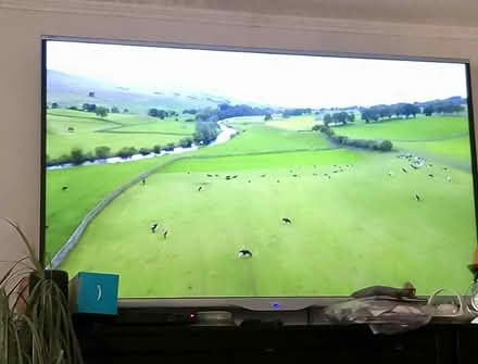 Photo of free 55 " tv (Springfield, MK6) #1