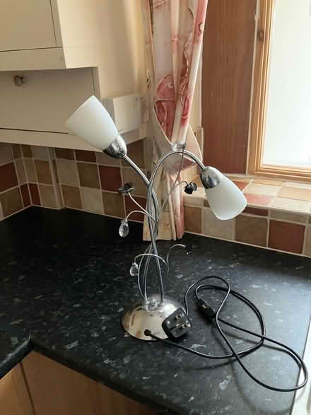 Photo of free Decorative lamp (Chapel-en-le-Frith SK23) #2