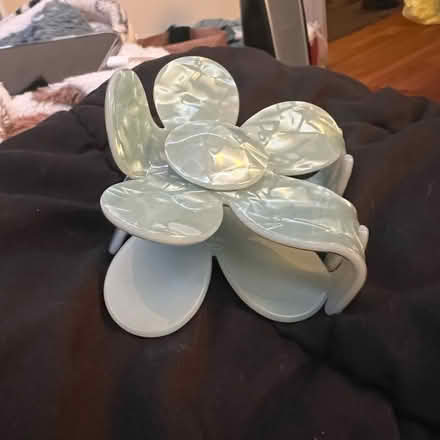 Photo of free claw clip (worcester) #2