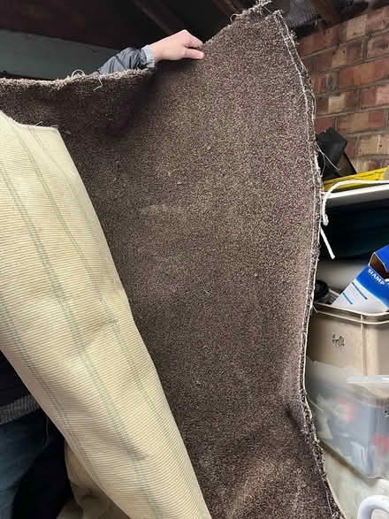 Photo of free Dark Brown Carpet (Idle BD10) #2