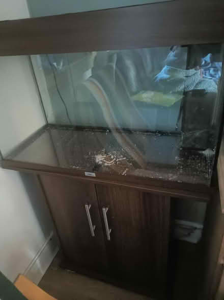 Photo of free Jewel 125 litre fish tank (Dundee DD3) #1