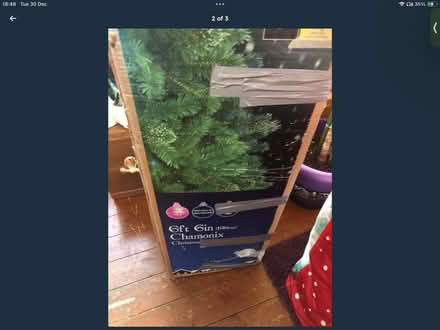 Photo of free Xmas tree (Gracemount EH17) #1