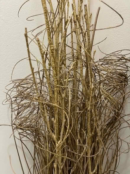 Photo of free Gold decorative sticks (Off of quince orchard road) #2