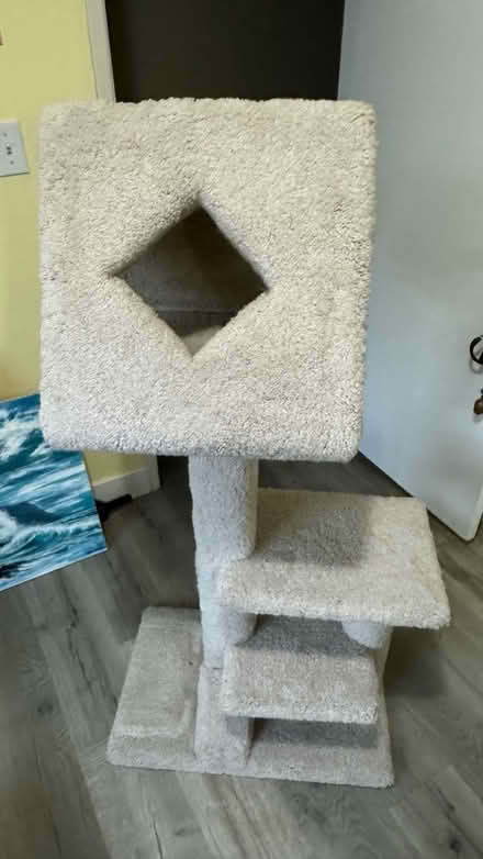 Photo of free Cat play post (Near monument Blvd, Concord) #1