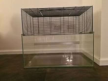 Photo of free Glass tank for rodents or reptiles (Saint Luke's EC1V) #1