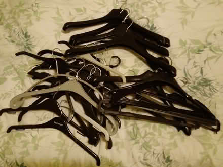 Photo of free Coat hangers (Emsworth PO10) #1