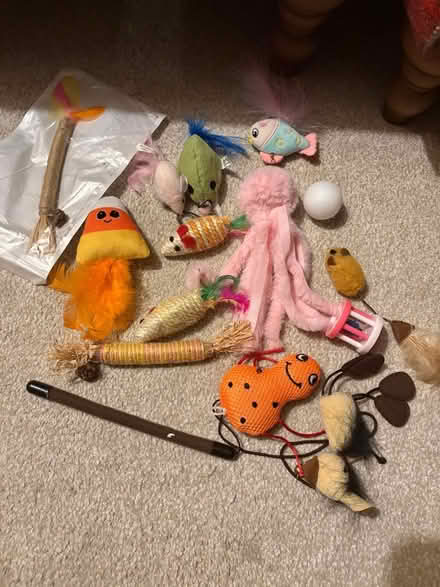 Photo of free Cat Toy Bundle (Southfields SW18) #1