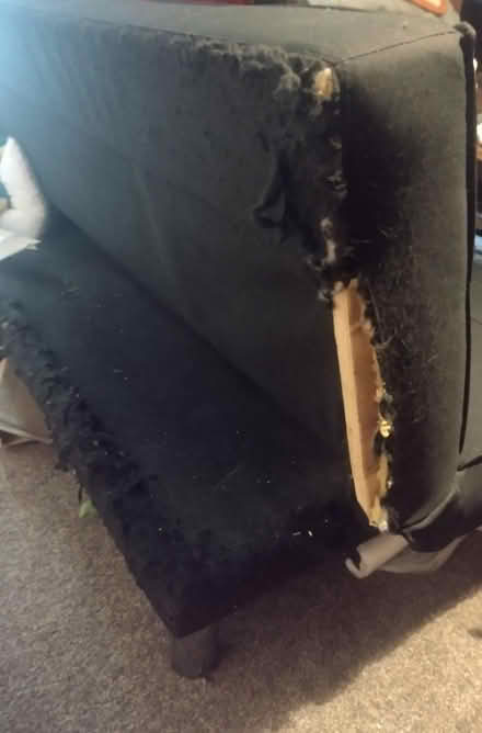 Photo of free Long Sofa bed (Wembworthy, EX18) #3