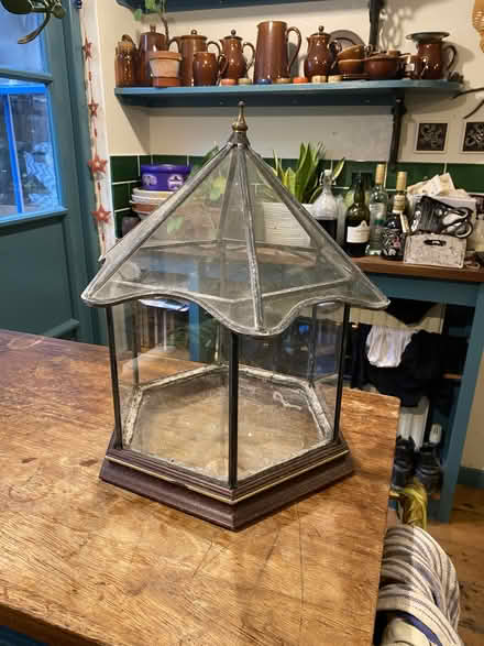Photo of free Terrarium (hastings TN35) #1