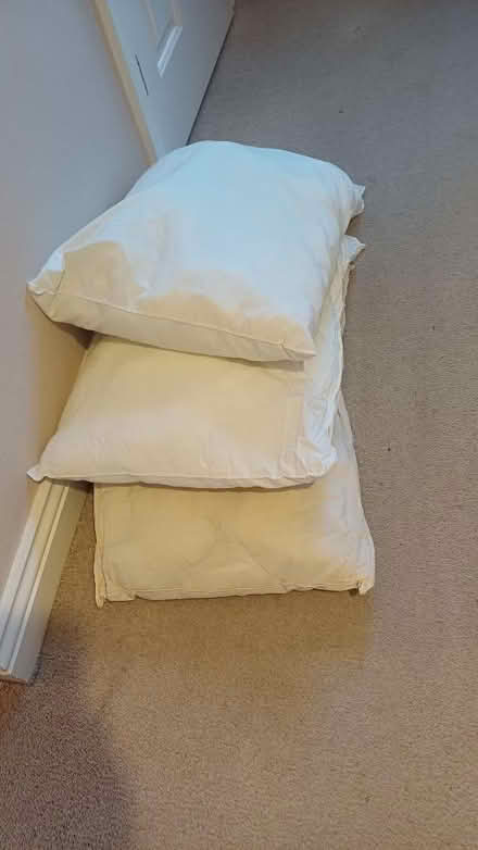 Photo of free 3 pillows (Winkwell HP1) #1