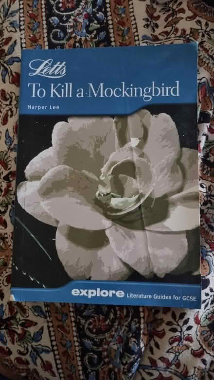Photo of free Letts Guide to To Kill a Mockingbird (Presteigne LD8) #1