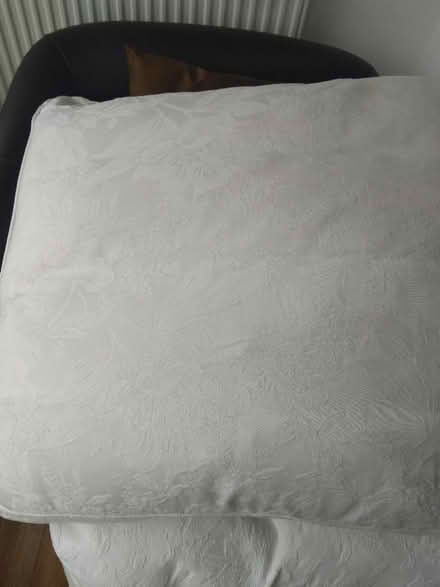Photo of free Cream cushions for sofa or other purposes (Millhouses S7) #2
